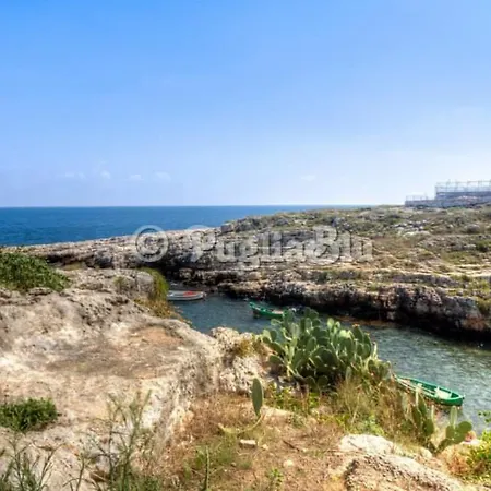 فيلة Portalga